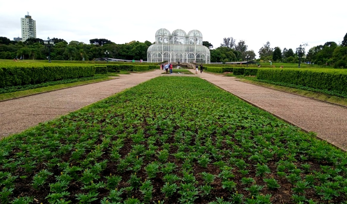 Troca está sendo realizada no Jardim Botânico e mais parques de Curitiba. Foto: Gerson