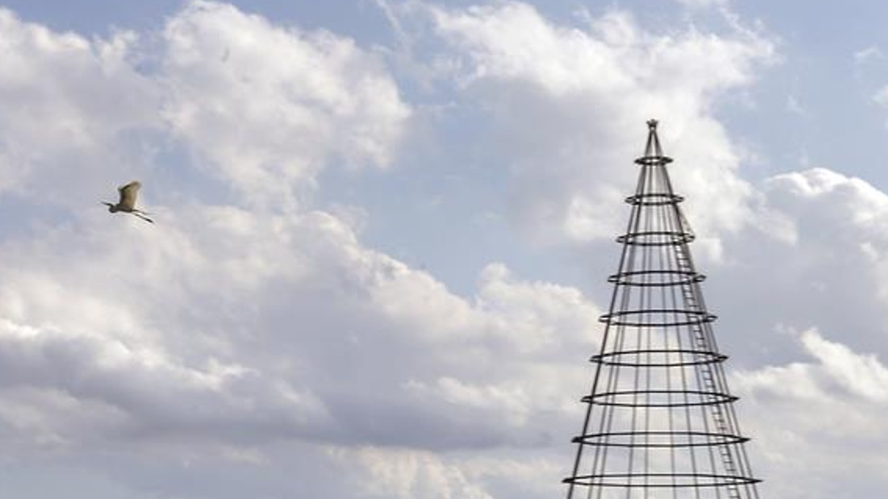 Maior árvore de Natal de Curitiba terá 22 metros de altura e 54 mil pontos  de luz