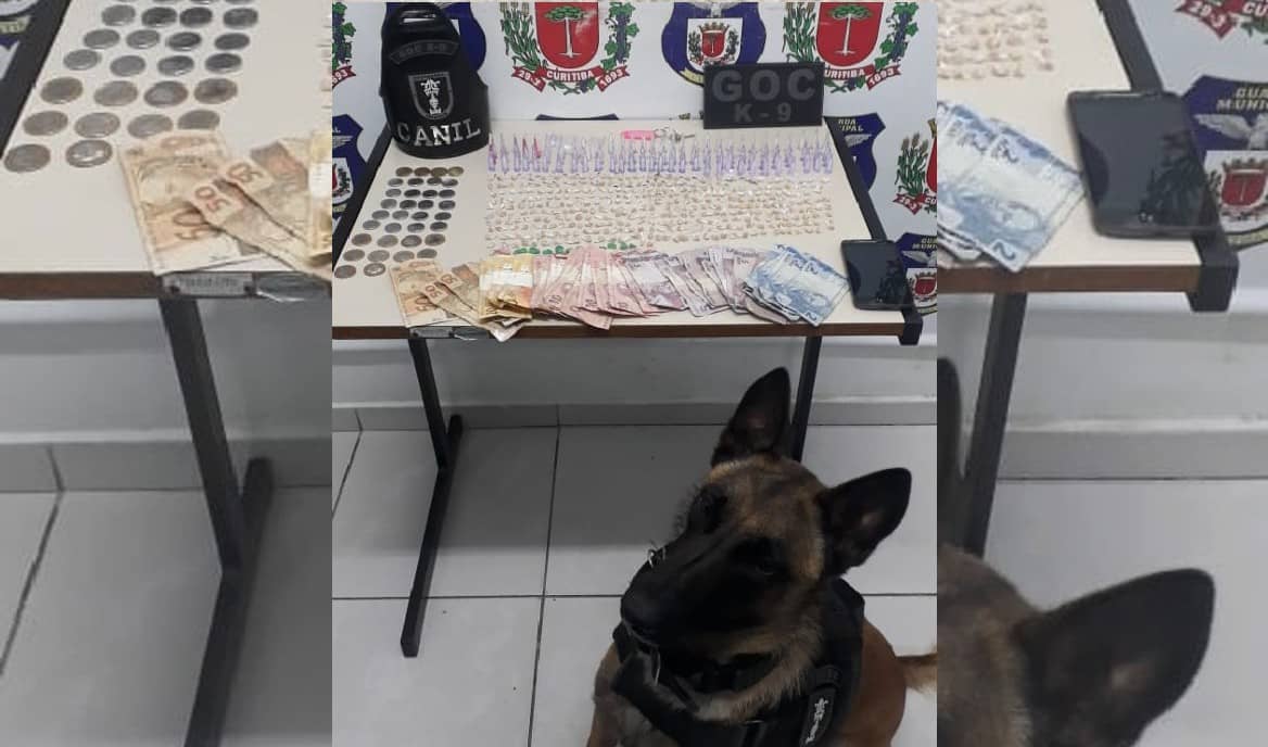 Drogas estavam escondidas, mas foram encontradas pelo cão farejador da GM.
