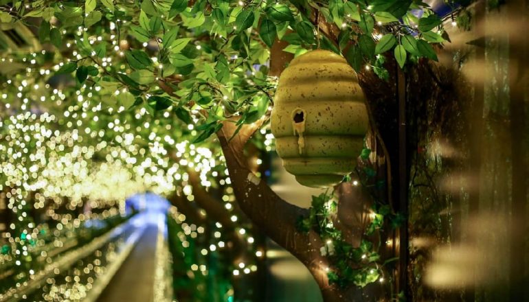 Natal dos ursos no Mueller.