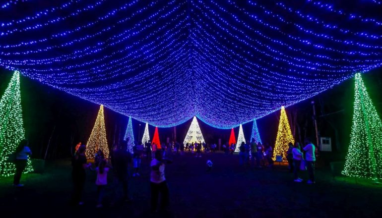 Foto: Natal da Família Moletta