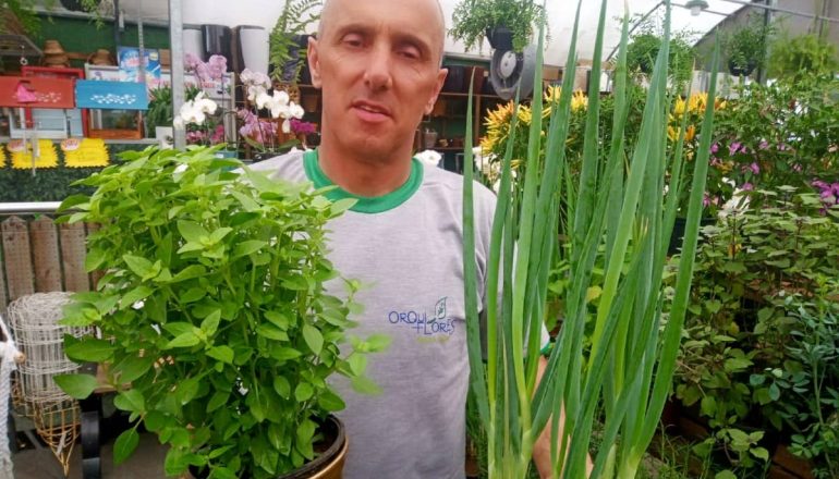 "Procura por sementes ou mudas cresceu mais de 50% na pandemia da covid-19", disse Samuel Bini, proprietário de uma floricultura no Bacacheri, em Curitiba. 