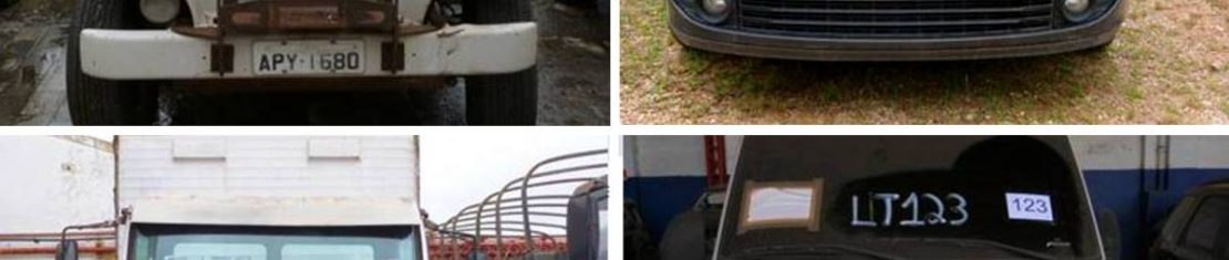 O leilão será entre os dias 15 e 17 de dezembro, exclusivamente online.