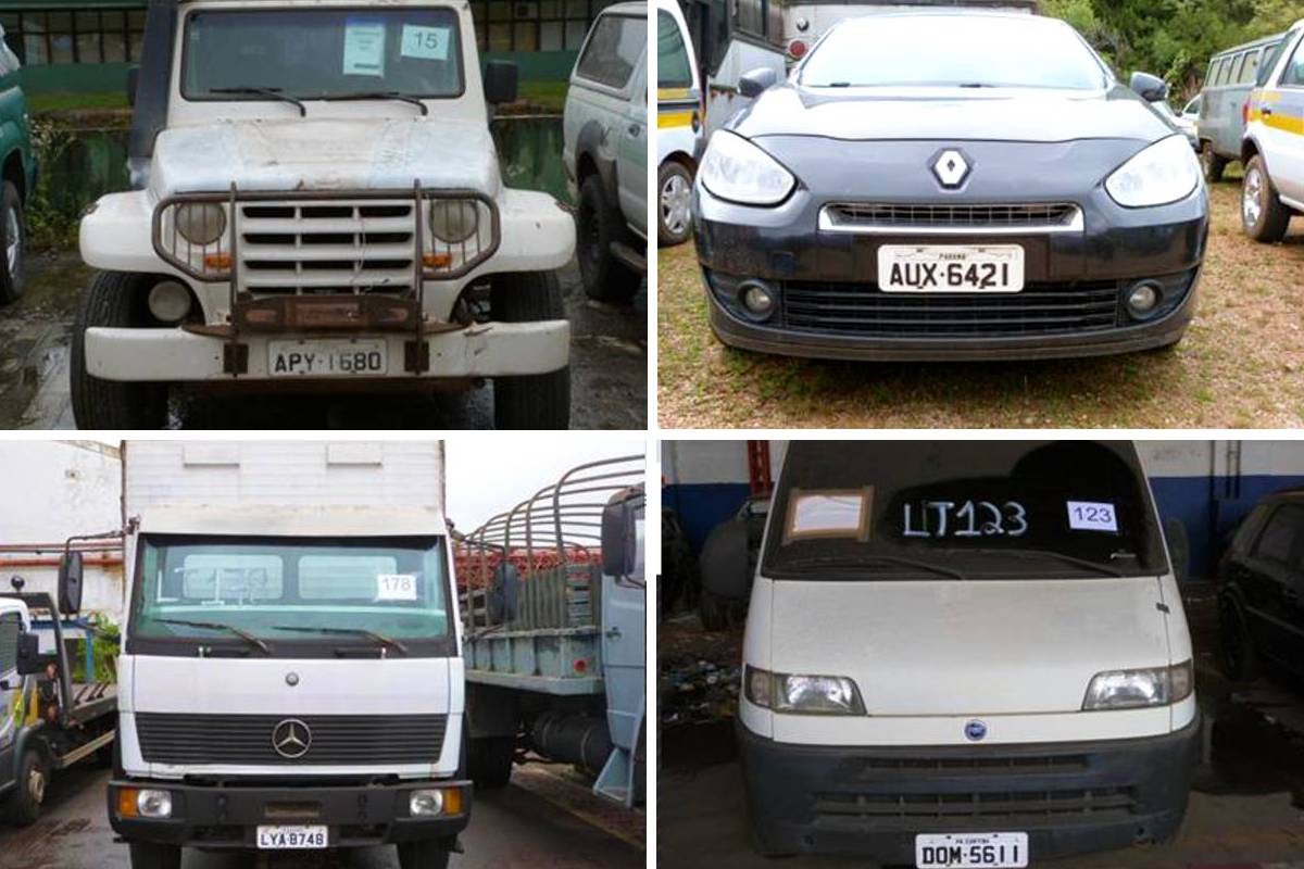 O leilão será entre os dias 15 e 17 de dezembro, exclusivamente online.