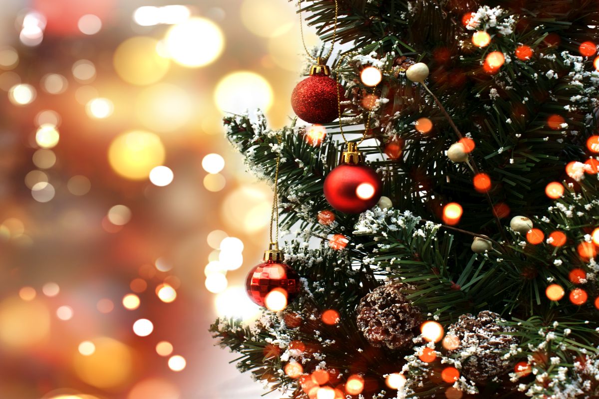 Natal tem árvore, presépio, presentes e luzes. O que estes símbolos  significam?