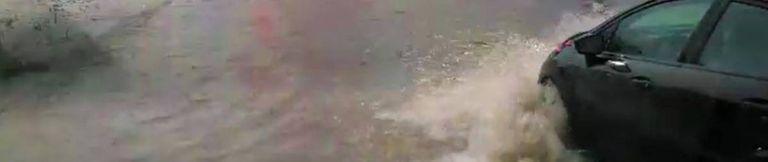 Temporal em Curitiba gerou alagamentos, quedas de árvores, mas não deixou feridos.