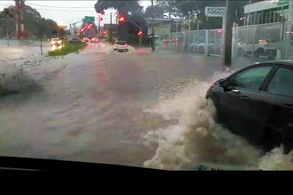 Temporal em Curitiba gerou alagamentos, quedas de árvores, mas não deixou feridos.