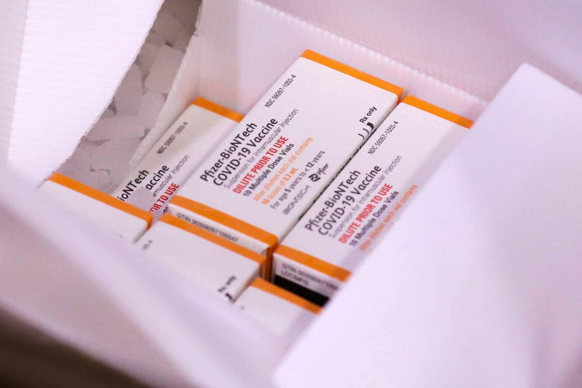 Vacinas chegaram à central de distribuição em Curitiba e já foram encaminhadas aos municípios.