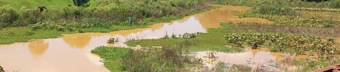 Barragem do Passaúna estava com 64% nesta terça-feira. A média do sistema é de 81,17%.