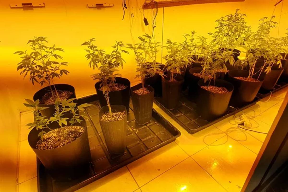 Laboratório de droga gourmet funcionava em uma casa alugada.