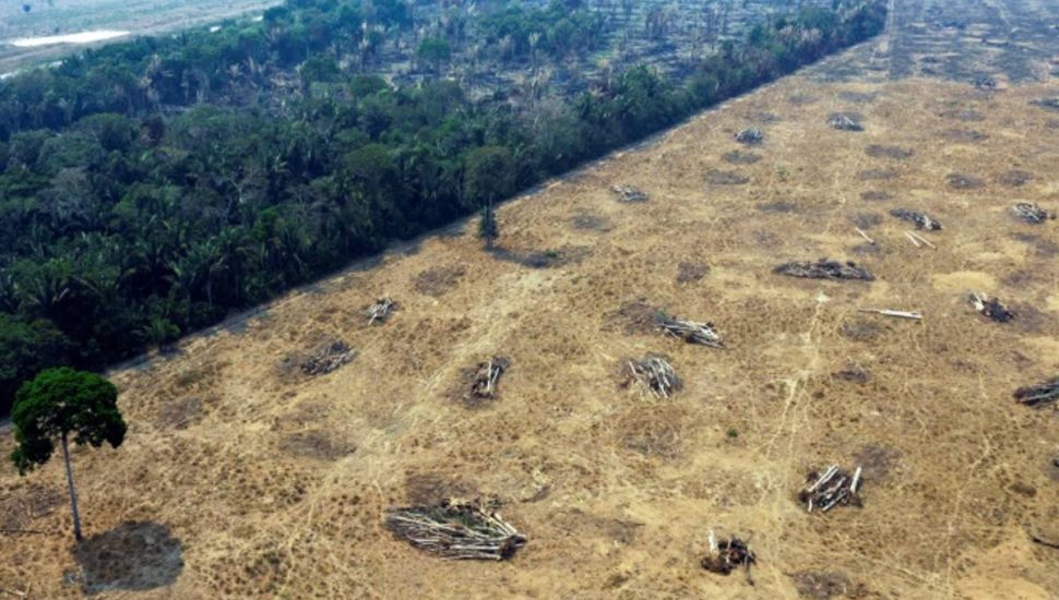 Desmatamento da Amazônia na gestão de Bolsonaro atinge níveis alarmantes, alerta o Ipam.