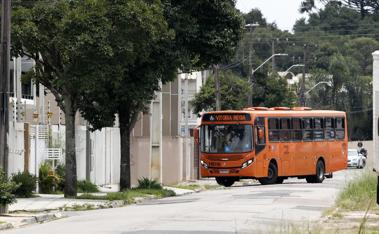 vitoria-regia-16-1644423891858