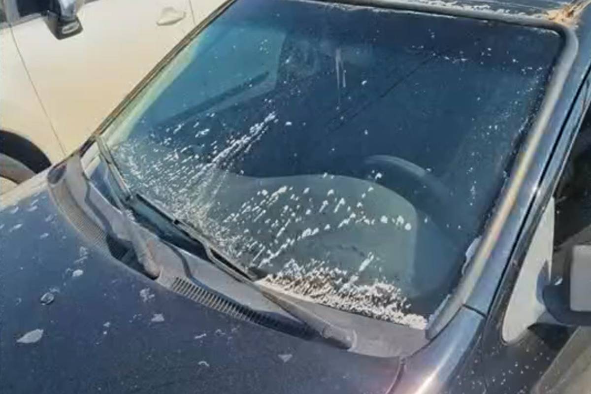 Fuligem misteriosa deu o que falar em Araucária. De onde vem?