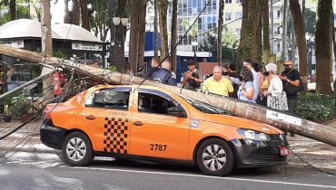 árvore poste taxi