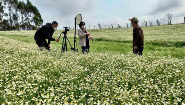 globo reporter dulcinéia