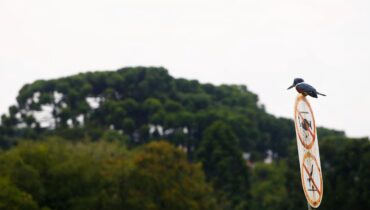 Tempo em Curitiba anda fechado nos últimos dias e assim deve continuar.