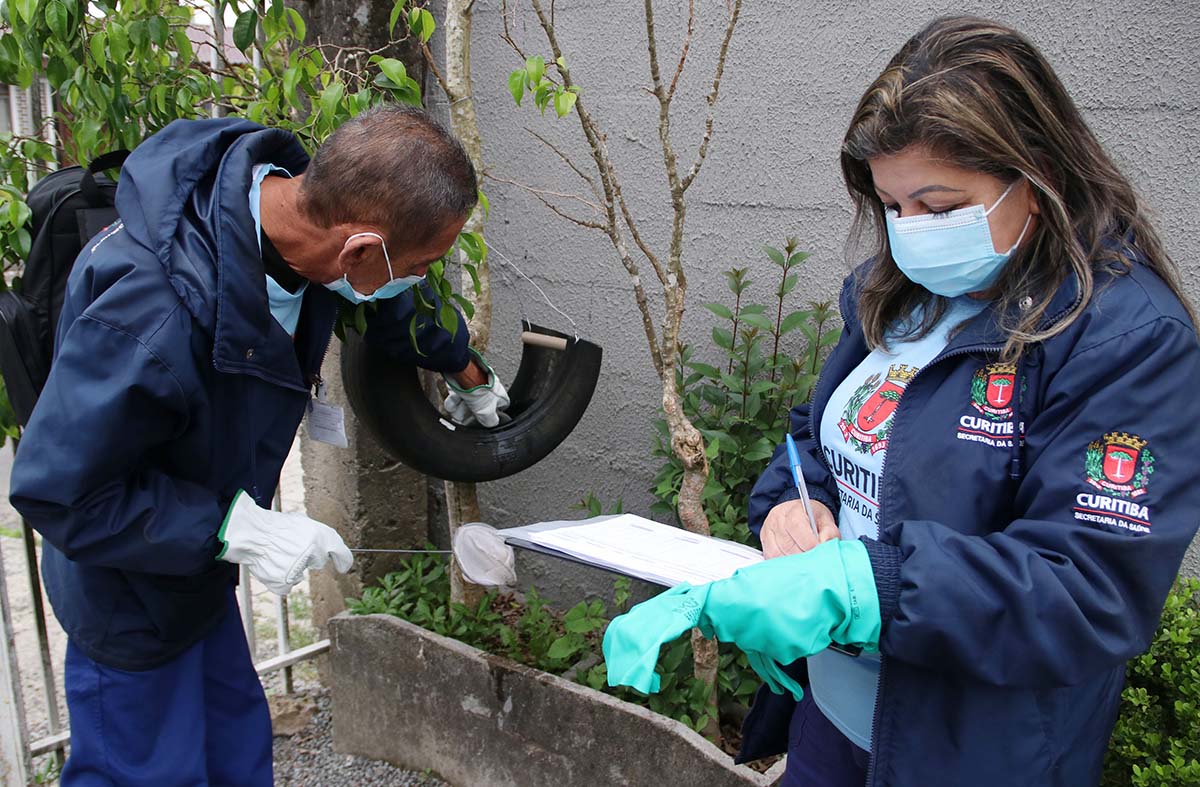 dengue curitiba