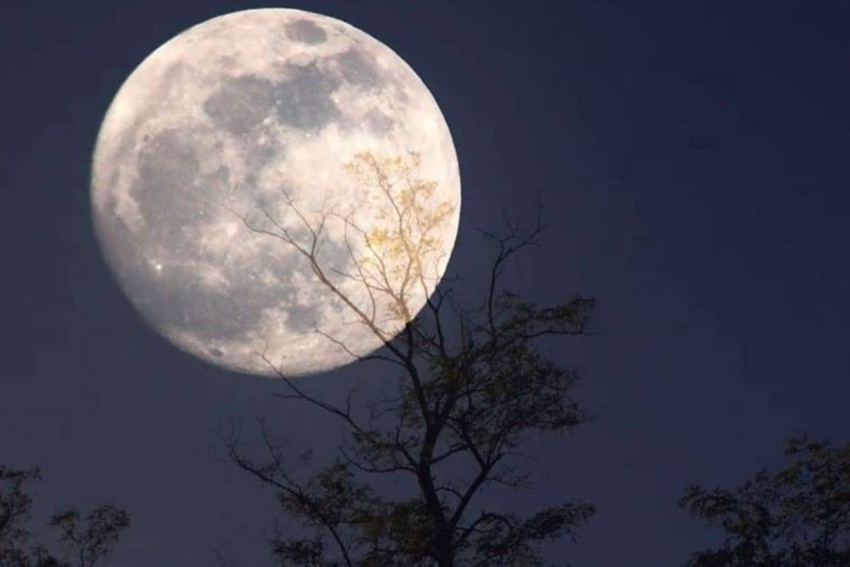Eclipse Lunar Total será entre domingo e segunda-feira.