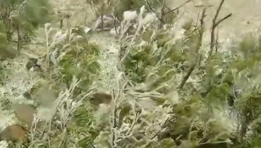 Neve em Santa Catarina nesta terça-feira.