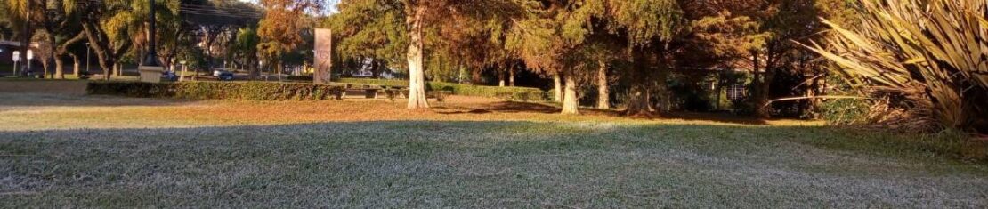 Parque Barigui, em Curitiba, amanheceu com camada de geada no gramado.