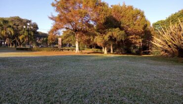 Parque Barigui, em Curitiba, amanheceu com camada de geada no gramado.