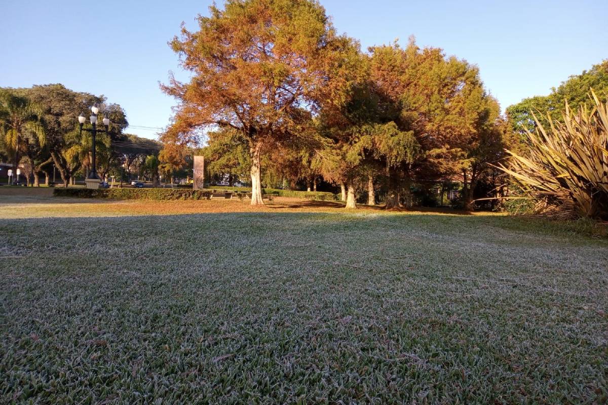 Parque Barigui, em Curitiba, amanheceu com camada de geada no gramado.