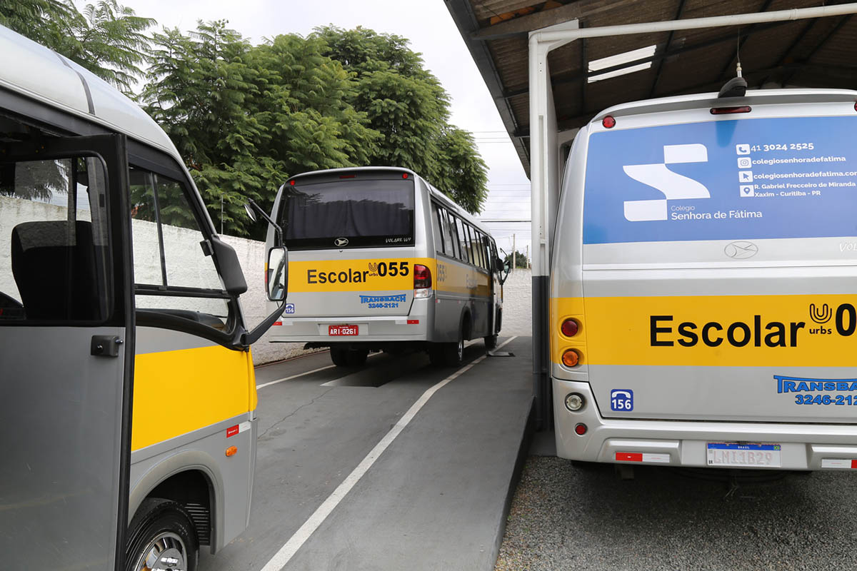 lei transporte escolar