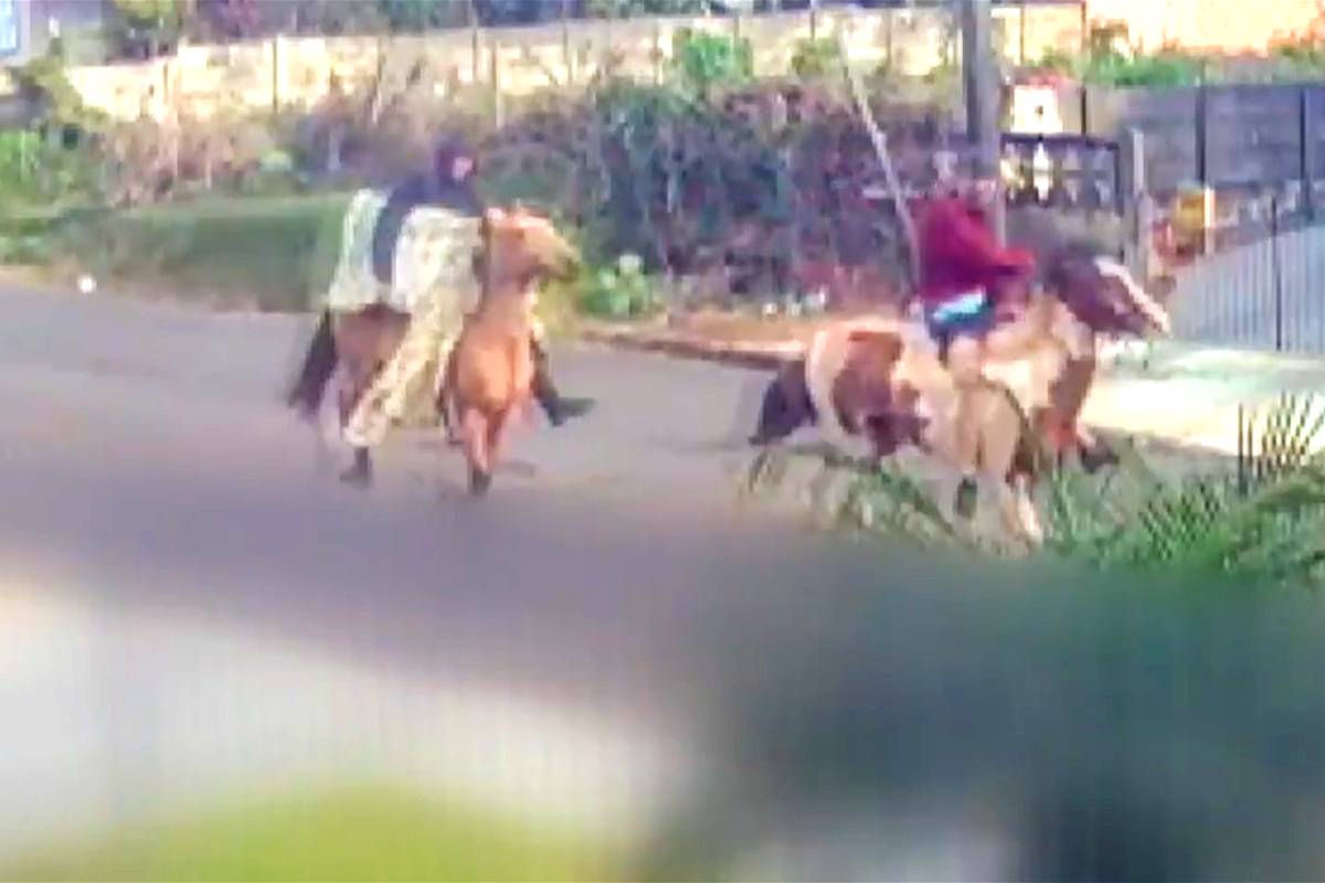 Suspeito do lado esquerdo da imagem cavalgava com uma televisão fruto de roubo debaixo do braço.