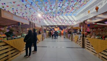 concurso fantasia pet shopping curitiba