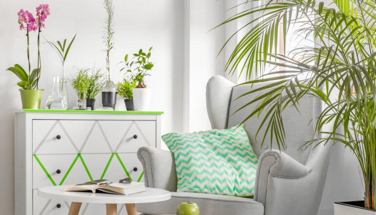 As plantas podem decorar qualquer cômodo. | Foto: Shutterstock
