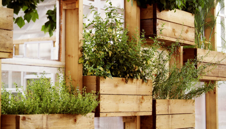 O jardim vertical pode ser feito com um baixo custo. | Foto: Shutterstock