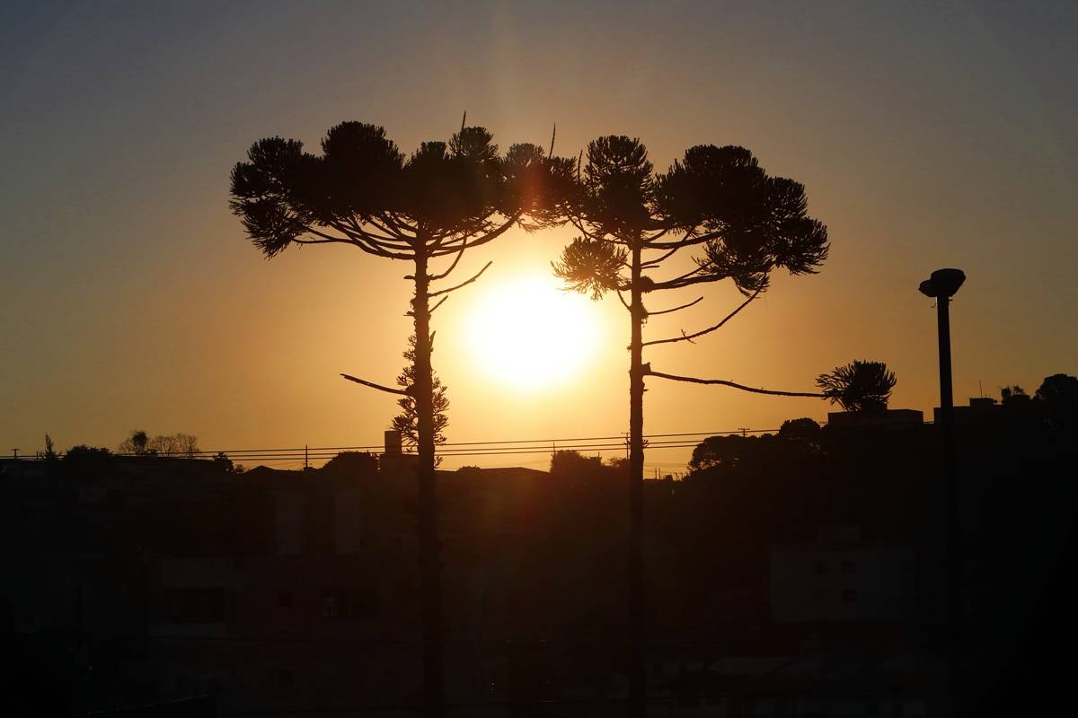 Frente fria se afasta e agosto começa com temperaturas mais elevadas em Curitiba.