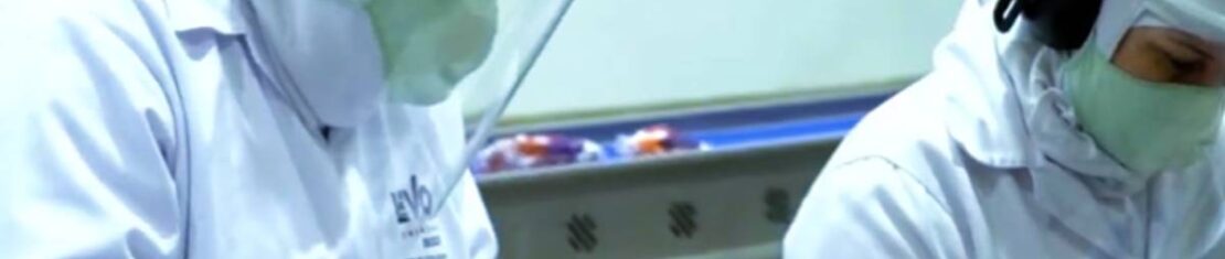 Levo Alimentos investe R$ 250 milhões e cria 1,5 mil postos de trabalho.