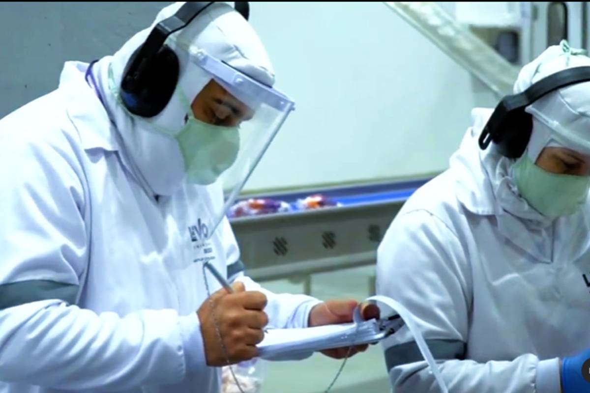 Levo Alimentos investe R$ 250 milhões e cria 1,5 mil postos de trabalho.