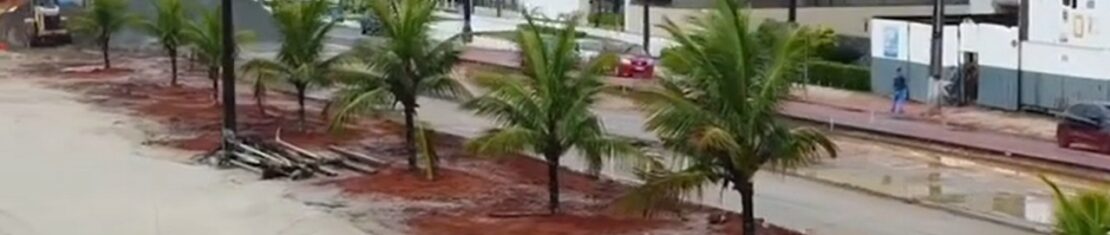 orla de matinhos coqueiros