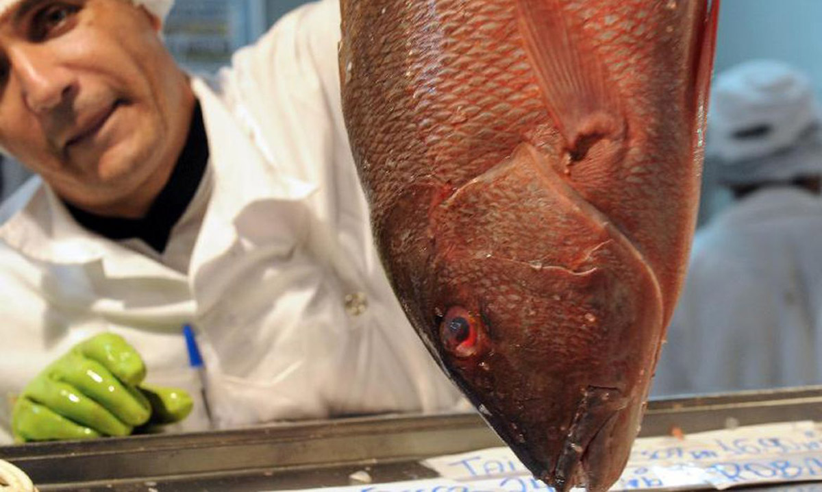 peixe pescado