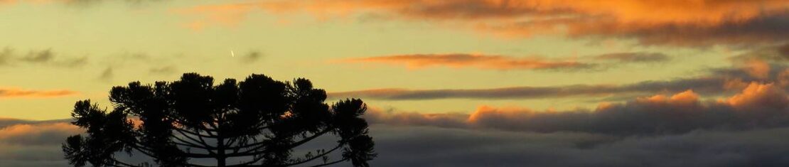Frente fria derruba temperatura em Curitiba; Previsão e alertas do tempo.