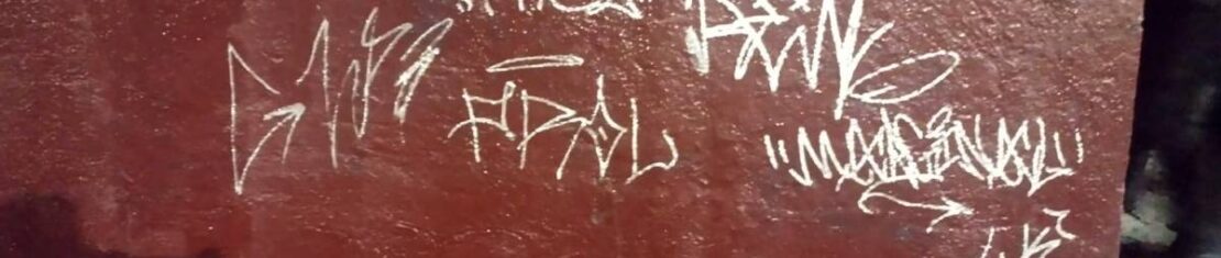 Pais pagaram R$ 10 mil de multa e piá foi solto.