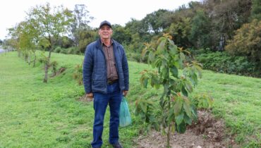 Morador de Pinhais ao lado de uma das árvores frutíferas que plantou