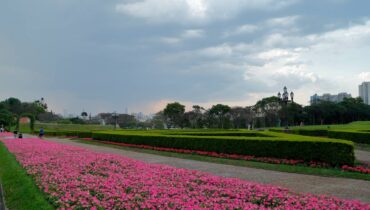 Semana marca o fim do inverno e o começo da primavera.