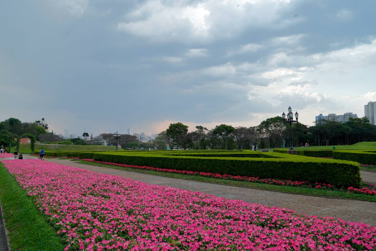Semana marca o fim do inverno e o começo da primavera.