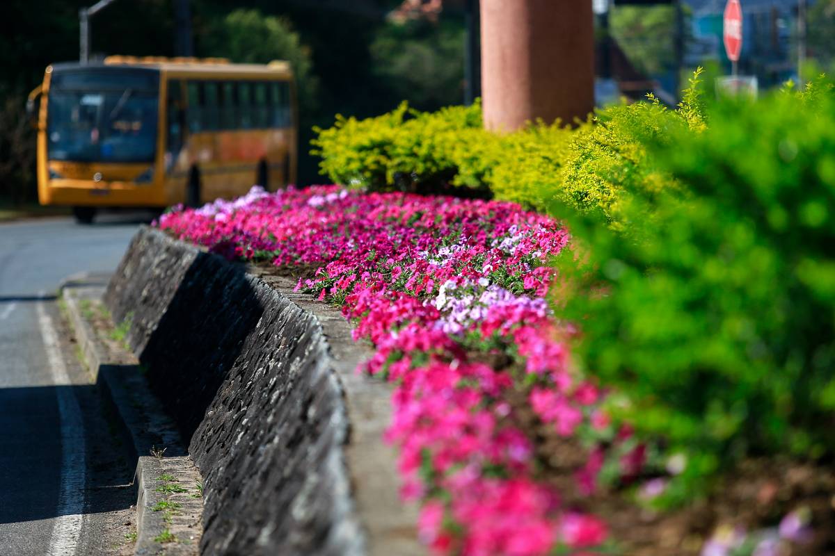 Na imagem, um jardim florido em Curitiba com um ônibus da cidade ao fundo indicando a mudança da estação.