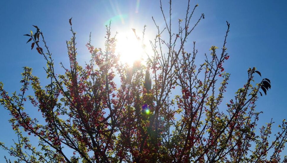 Imagem mostra o céu azul em Curitiba neste sábado.