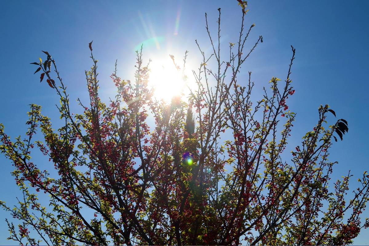 Imagem mostra o céu azul em Curitiba neste sábado.