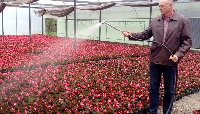 Imagem mostra José Roberto Roloff, diretor de Produção Vegetal da Secretaria do Meio Ambiente.
