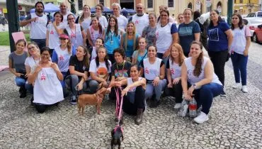 Veterinários de Curitiba a caminho do RS para atender animais vítimas da tragédia 