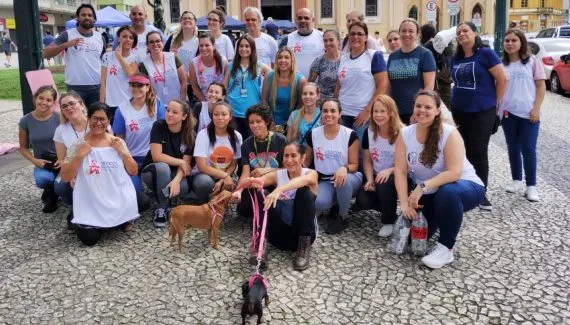 Veterinários de Curitiba a caminho do RS para atender animais vítimas da tragédia 