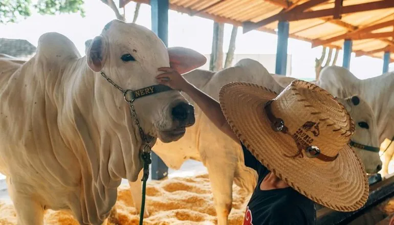 ExpoLondrina começa nesta sexta com shows e expectativa de milhões em negócios