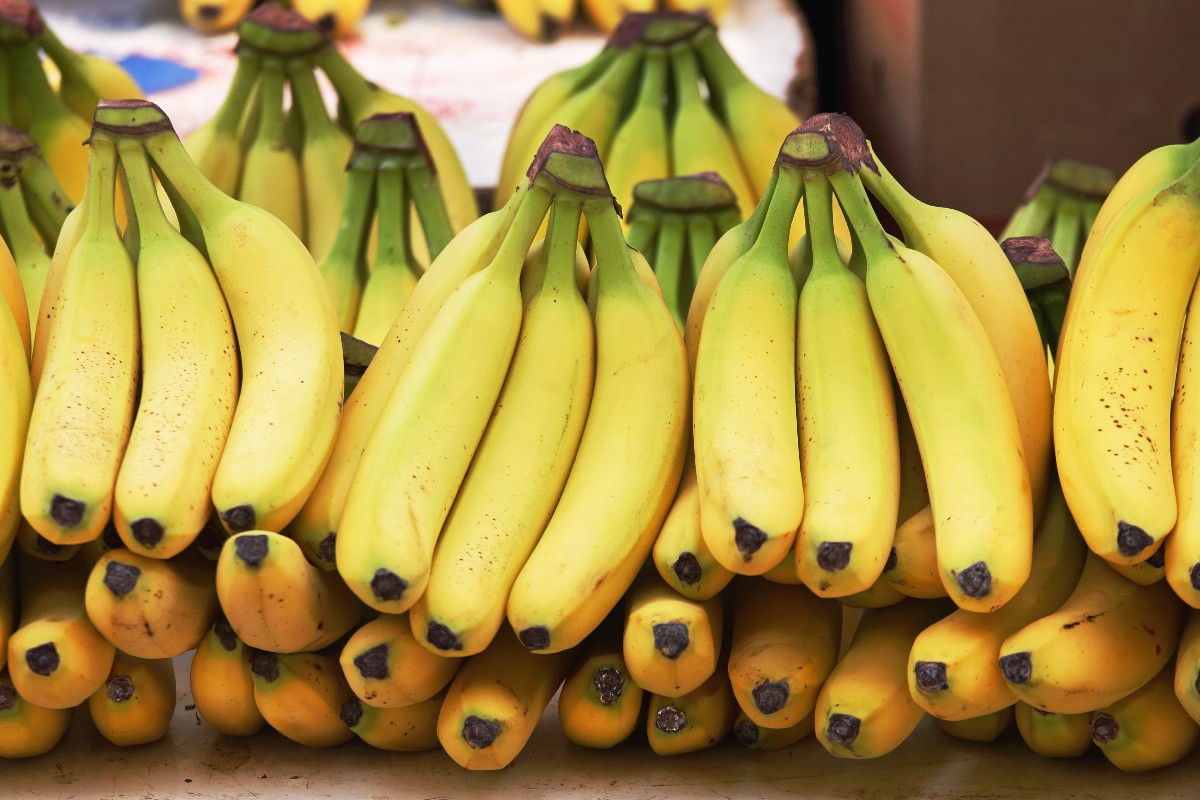 pencas de banana