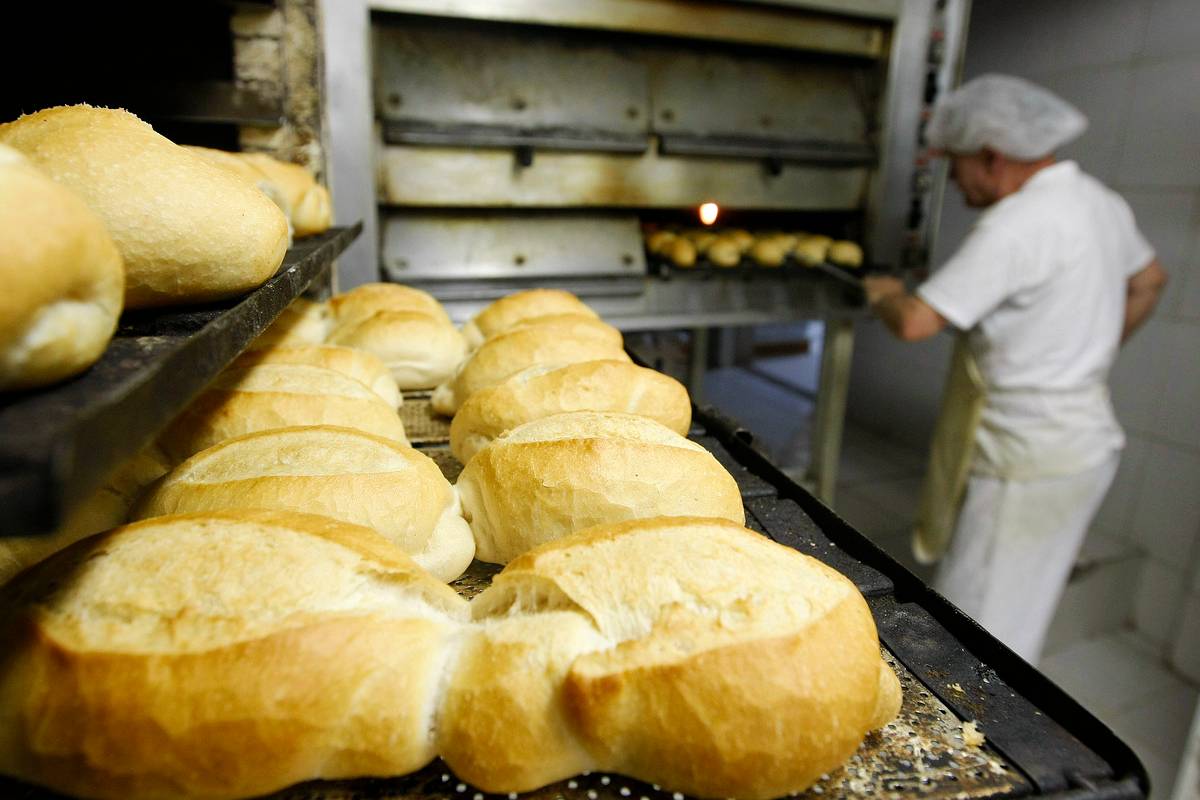 Padarias de Curitiba e região metropolitana estão vendendo pão francês sem imposto nesta quinta-feira.